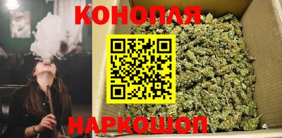 jwh Ярославль