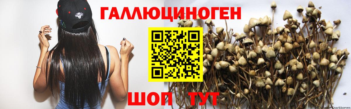 Галлюциногенные грибы Psilocybine cubensis Златоуст